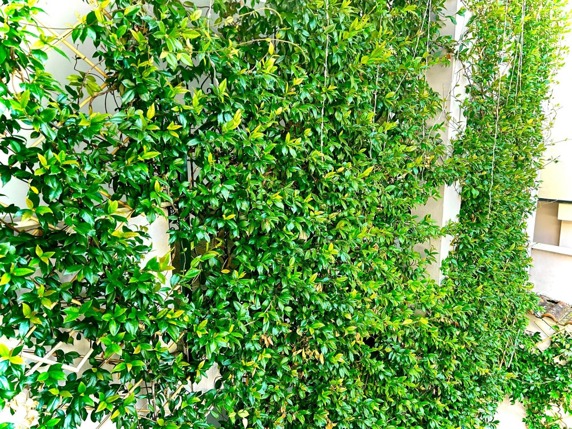 Hotell Budget Retreat & Tirana